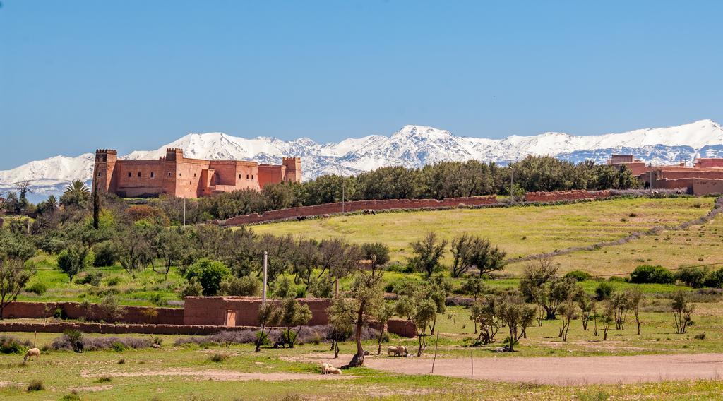 Riad Sougtani Tazrou Екстериор снимка